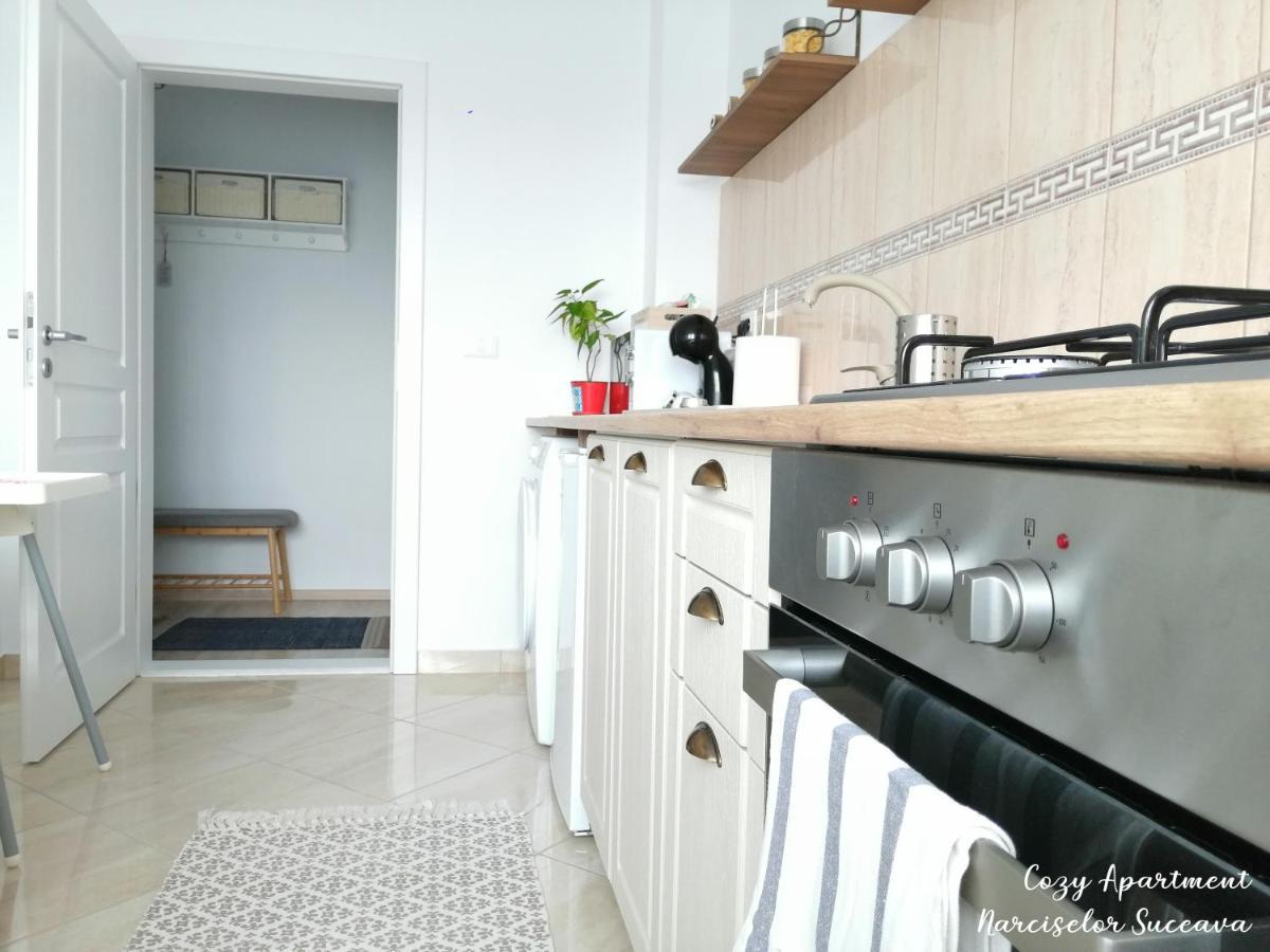 Ipotesti  Cozy Apartment Narciselor Suceava מראה חיצוני תמונה