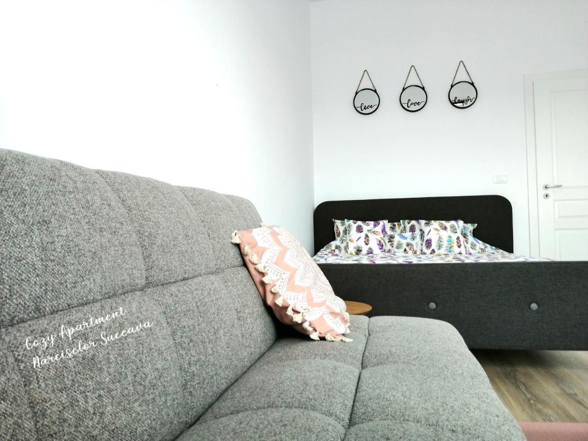 Ipotesti  Cozy Apartment Narciselor Suceava מראה חיצוני תמונה