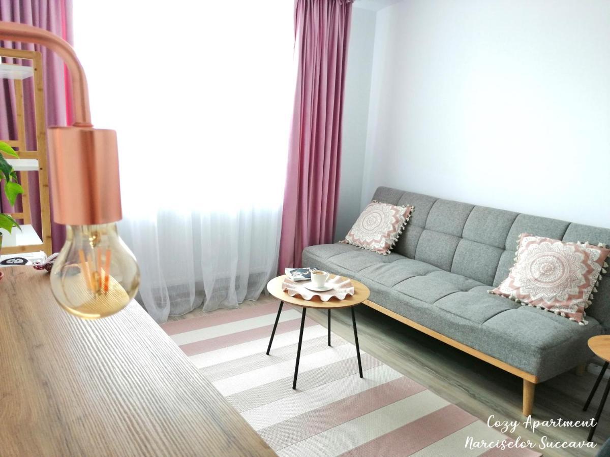 Ipotesti  Cozy Apartment Narciselor Suceava מראה חיצוני תמונה