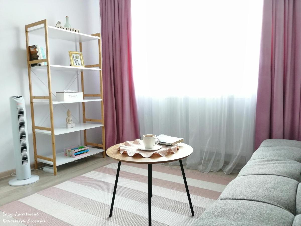Ipotesti  Cozy Apartment Narciselor Suceava מראה חיצוני תמונה