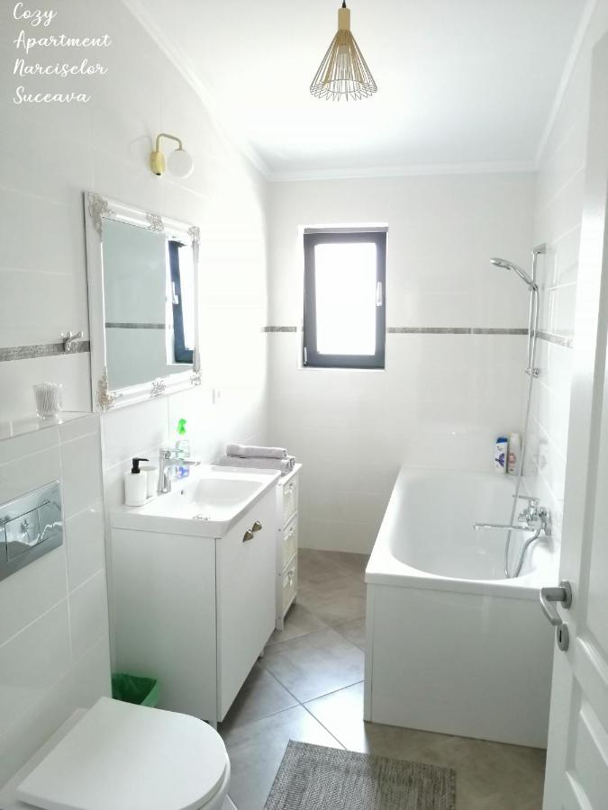 Ipotesti  Cozy Apartment Narciselor Suceava מראה חיצוני תמונה