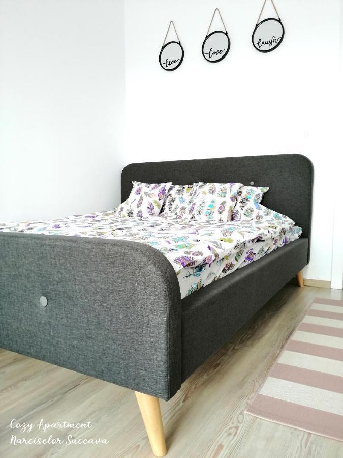 Ipotesti  Cozy Apartment Narciselor Suceava מראה חיצוני תמונה
